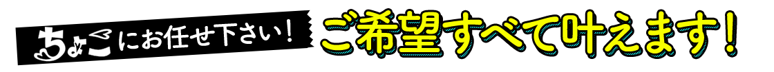 ちょこ札幌にお任せ下さい!ご希望すべて叶えます!